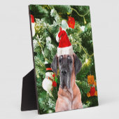 Great Dane w Christmas Tree Geschenkboxen Weihnach Fotoplatte (Seite)