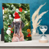 Great Dane w Christmas Tree Geschenkboxen Weihnach Fotoplatte (Seite)