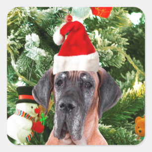 Great Dane w Christmas Tree Geschenkboxen Weihnach Quadratischer Aufkleber