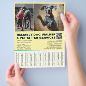 Great Dane Walker Simple Strip Flyer (Hand)