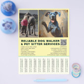 Great Dane Walker Simple Strip Flyer (Einzeln)