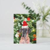 Great Dane Weihnachten (Stehend Vorderseite)