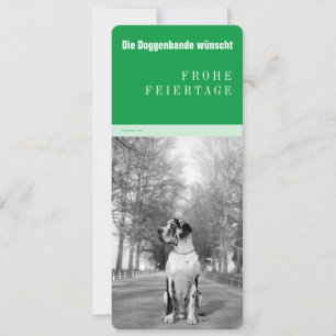 Great Dane Weihnachten