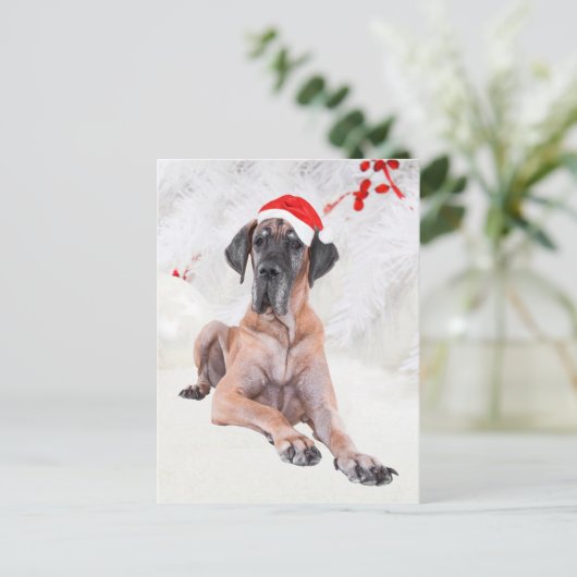 Great Dane Weihnachten (Stehend Vorderseite)