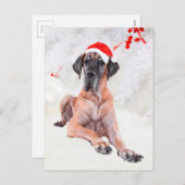 Great Dane Weihnachten (Vorne/Hinten)