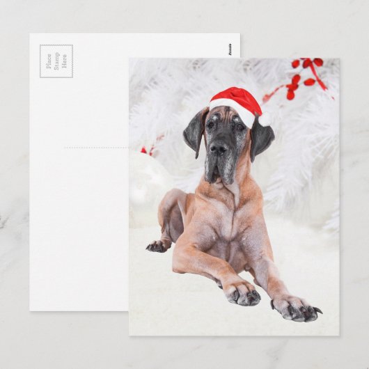 Great Dane Weihnachten (Vorne/Hinten)