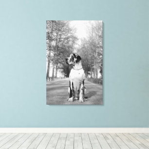 Great Dane Wrapped Canvas Leinwanddruck