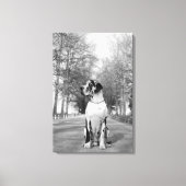 Great Dane Wrapped Canvas Leinwanddruck (Vorderseite)