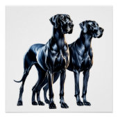 Great Danes Watercolor Poster (Vorderseite)