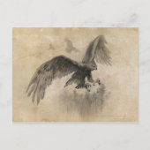 Great Eagles Sketch Postkarte (Vorderseite)