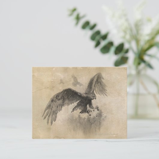 Great Eagles Sketch Postkarte (Stehend Vorderseite)