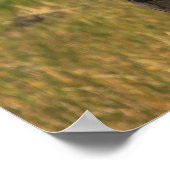 Great Egret Bird auf dem Viera Wetlands Poster (Ecke)