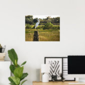Great Egret Bird auf dem Viera Wetlands Poster (Heimbüro)