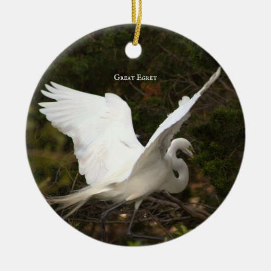 Great Egret Bird Foto Ornament (Vorne)