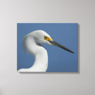 Great Egret Canvas Print Leinwanddruck