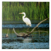 Great Egret Decorative Tile Fliese (Vorderseite)