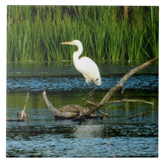 Great Egret Decorative Tile Fliese (Vorderseite)