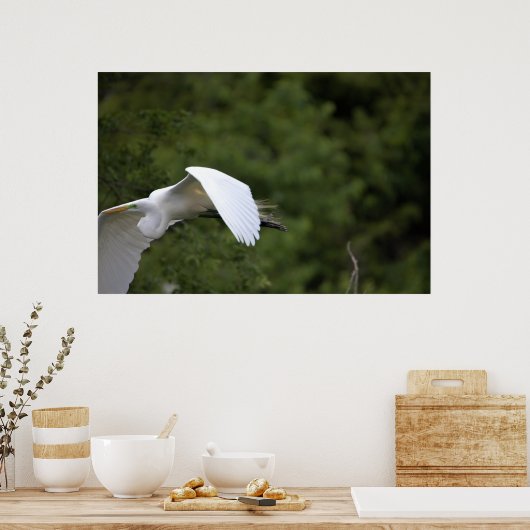 Great Egret Flying Poster (Küche)