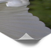 Great Egret Flying Poster (Ecke)
