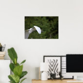 Great Egret Flying Poster (Heimbüro)