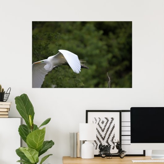 Great Egret Flying Poster (Heimbüro)