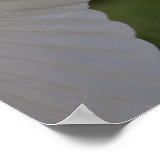 Great Egret Flying Poster (Ecke)