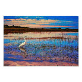 Great Egret Fotodruck (Vorne)
