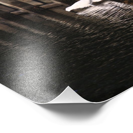 Great Egret Great Catch Fotodruck (Ecke)