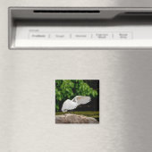 Great Egret Magnet (In Situ (Geschirrspüler))