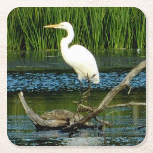 Great Egret Paper Untersetzer (Vorderseite)