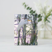 GREAT EGRET POSTCARD POSTKARTE (Stehend Vorderseite)