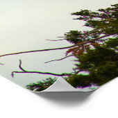 Great Egret Poster (Ecke)
