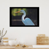 Great Egret Poster (Küche)