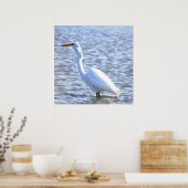 Great Egret Poster (Küche)