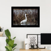 Great Egret Poster (Heimbüro)