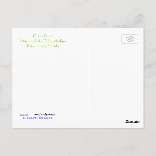 Great Egret Postkarte (Rückseite)