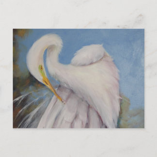 Great Egret Postkarte