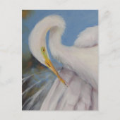 Great Egret Postkarte (Vorderseite)