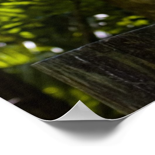 Great Egret Print Poster (Ecke)