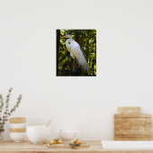 Great Egret Print Poster (Küche)