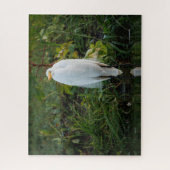 Great Egret Puzzle (Vertikal)