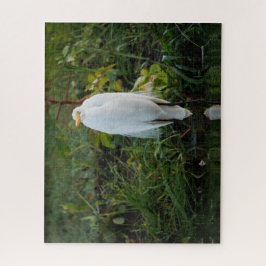 Great Egret Puzzle