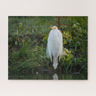 Great Egret Puzzle