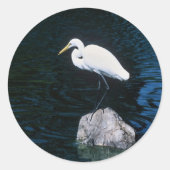 Great Egret Runder Aufkleber (Vorderseite)