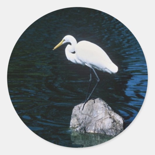 Great Egret Runder Aufkleber (Vorderseite)