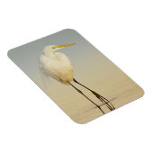 Great Egret Walking Magnet (Rechte Seite)