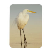 Great Egret Walking Magnet (Vertikal)