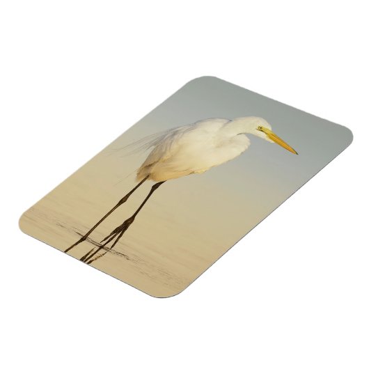 Great Egret Walking Magnet (Linke Seite)