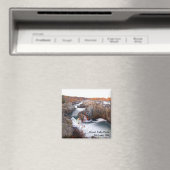 Great Falls Magnet (In Situ (Geschirrspüler))