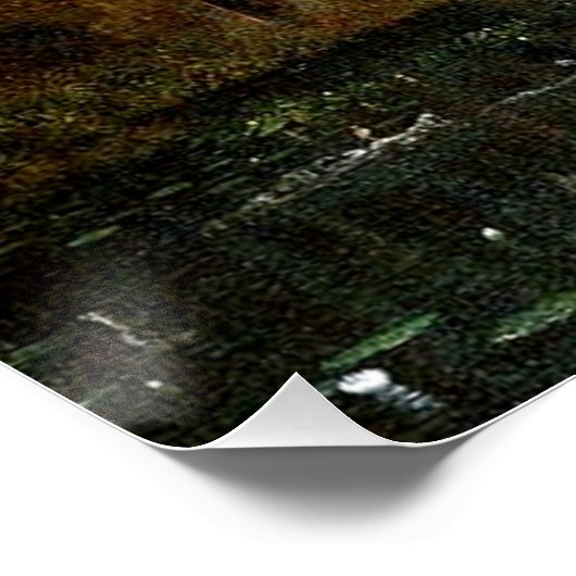 Great Florida Sunset, Fine Art, Poster (Ecke)